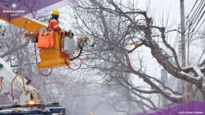 Este miércoles los equipos de Hydro-Québec habían logrado reconectar a más del 85% de los clientes afectados en la primera nevada temprana de la temporada que dejó sin electricidad a miles de hogares.