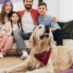 Fallo de Tribunal “abre puerta” a mascotas en viviendas