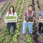 Quebec presiona a Ottawa para flexibilizar contratación extranjera