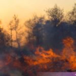 Evacuan a miles por incendios forestales en Columbia Británica